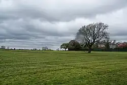 View across Ashton Park