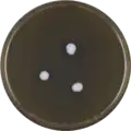 Aspergillus restrictus growing on MEAOX plate