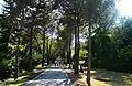 A walkway.