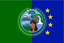 Flag of Puerto Ayacucho
