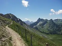 Trail to the summit