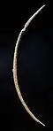 Possible musical bow from Geisenklösterle, Germany