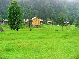 Image 14Rize