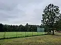 The pitch.