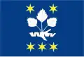 Flag of Březejc