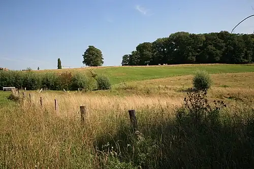 Zavelenberg