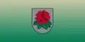 Flag of Babīte Municipality