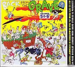 Back from the Grave Volumes 5 & 6