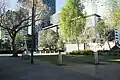 Central Park in background