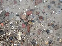 Typical beach sand on the Baltic Sea where amber is often washed up