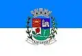 Flag of Sumidouro