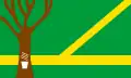 Flag of Assis Brasil