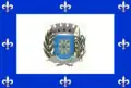 Flag of Itajobi