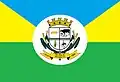 Flag of São João da Paraúna