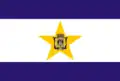 Flag of Sud Mennucci