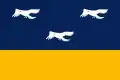 Flag of Arapongas, Paraná, Brazil