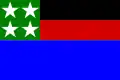 Flag of Coronel Pacheco
