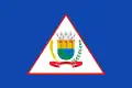 Flag of Machado, Minas Gerais