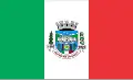 Flag of São Roque do Canaã