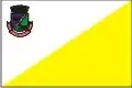 Flag of Três Passos