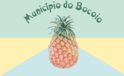 Bocoio