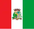 Flag of Ibirama