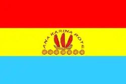 Flag of Los Teques