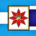 Flag of Añatuya
