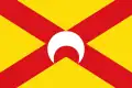 Flag of Arándiga, Spain