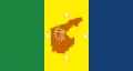 Flag of Autónomo Autana Municipality