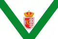 Flag of Barajas de Melo