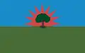 Flag of Barrancominas