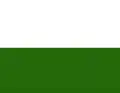 Flag of Caracollo