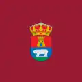 Flag of Muñana