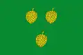 Flag of Pinell de Solsonès