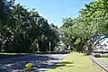 Banyan Drive, Hilo, Hawaii