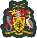Master chief petty officer class 1 (Barbados Coast Guard)