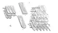 Decorative shingles are more uniform in size and installed in repeating patterns. Illustration from Dictionnaire raisonné de l'architecture française du XIe au XVIe siècle by Viollet-Le-Duc, 1856
