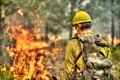 *Front line firefighter