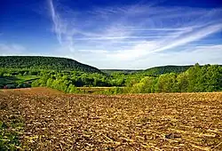 A farm in Barry Township