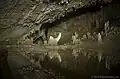 Barton Creek Cave