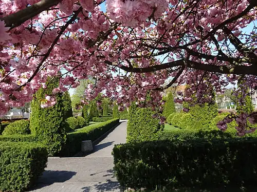 Plaza in springtime