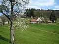 At the Vogt auf Mühlstein (3rd Stage)