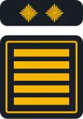 Landesfeuerwehrinspekteur/-in