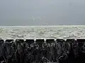 water level in rainy season at Wilson Dam