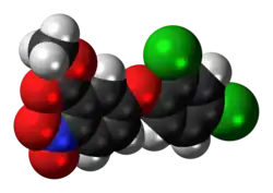 Space filling model