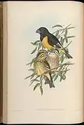 An artist's illustration.