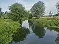 Blackwater and Chelmer Canal