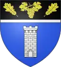 Coat of arms of Villespassans
