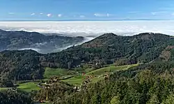 Black Forest near Seebach